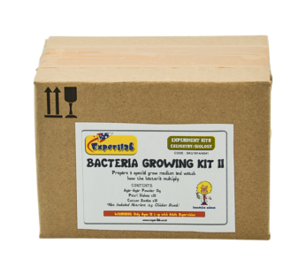 Bacteria Growing Kit II