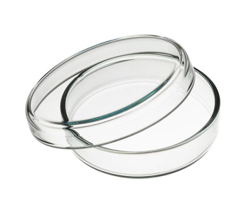 Dish Petri Glass 60mm