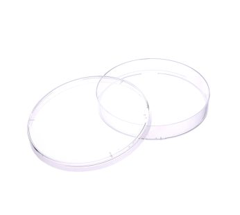 Dish Petri Plastic 65mm
