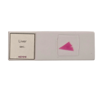 Liver sec.